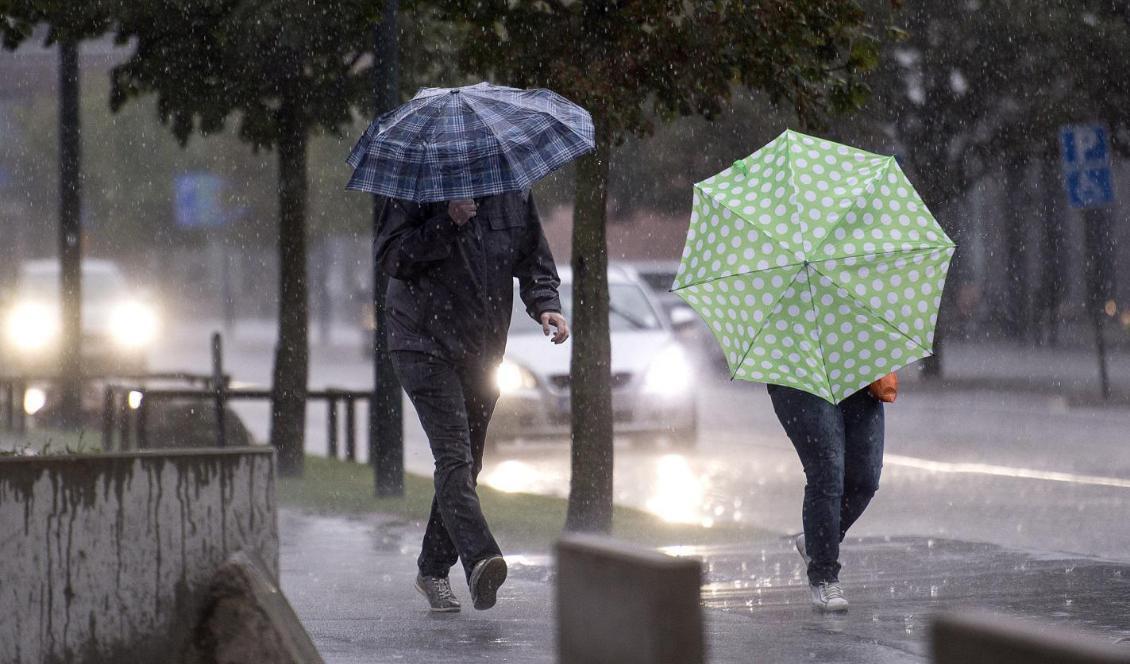 Långhelgen bjuder på ostadigt, regnigt väder och kyliga temperaturer. Foto: Johan Nilsson/TT-arkivbild