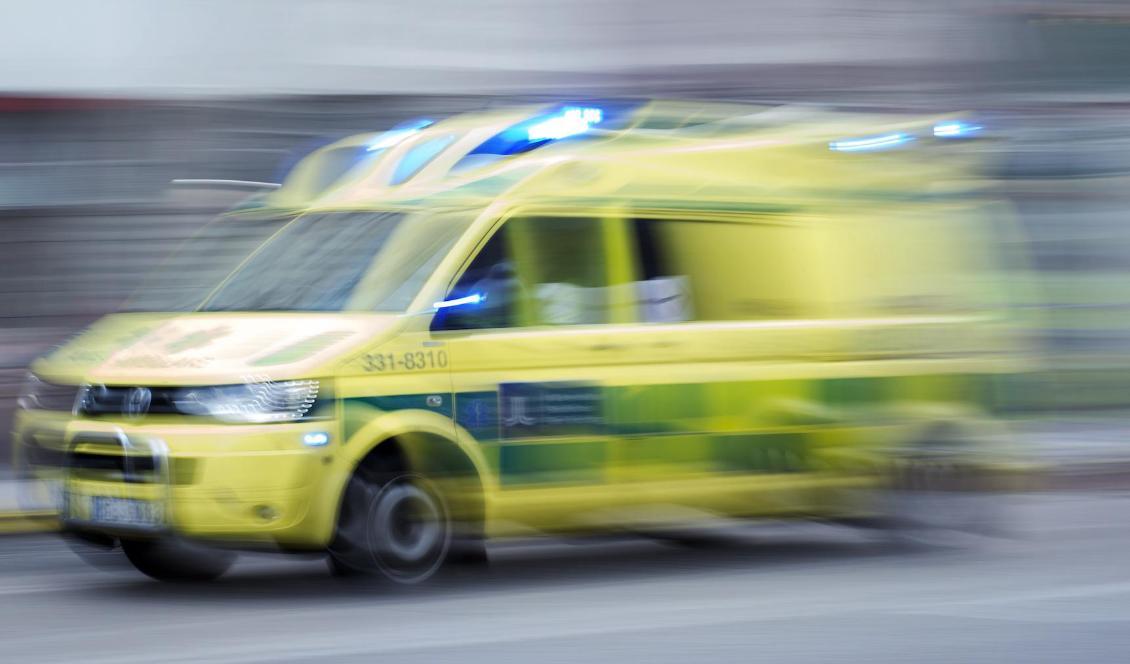 
Blixten slog ned vid ett kollo i Småland på lördagseftermiddagen. Foto: Stina Stjernkvist/TT
-arkivbild                                                