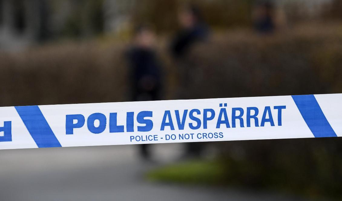 Barngäng härjar i Grums. Foto: Johan Nilsson/TT-arkivbild