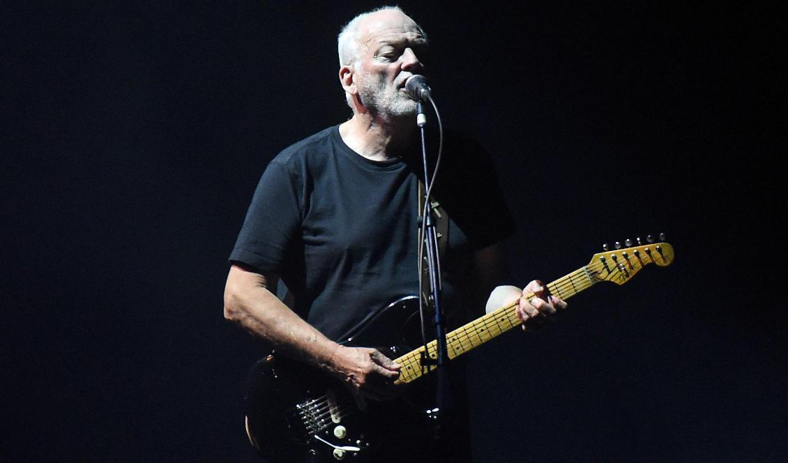 David Gilmour. Foto: Henning Kaiser/AP/TT-arkivbild