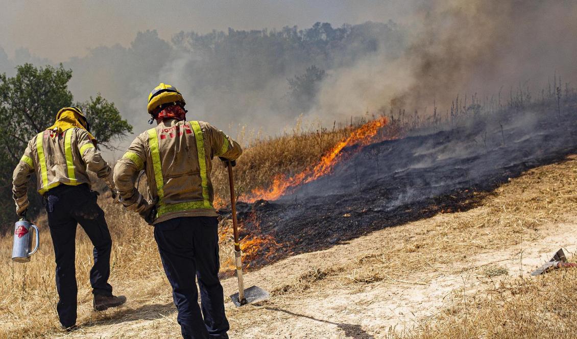 Brandmän bekämpar en brand nära spanska Tarragona. Spanien och andra delar av Europa har upplevt extrem hetta i flera dagar. Foto: Jordi Borras/AP/TT