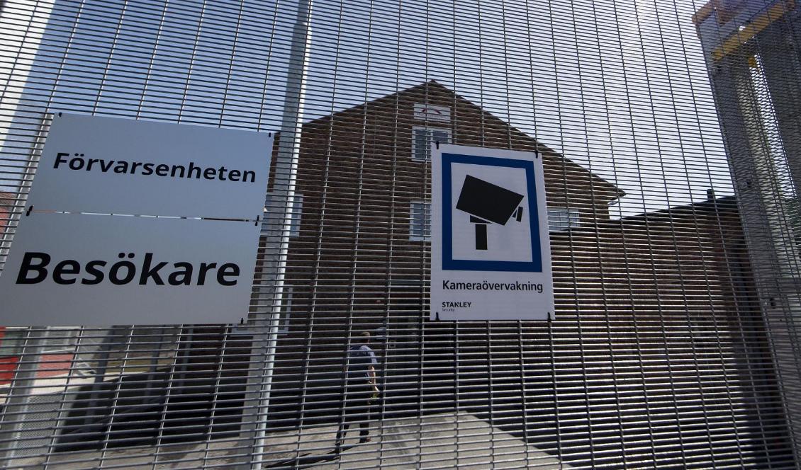 Totalt sitter sex personer med kopplingar till muslimska samfund i Sverige i Migrationsverkets förvar. Foto: Johan Nilsson/TT-arkivbild