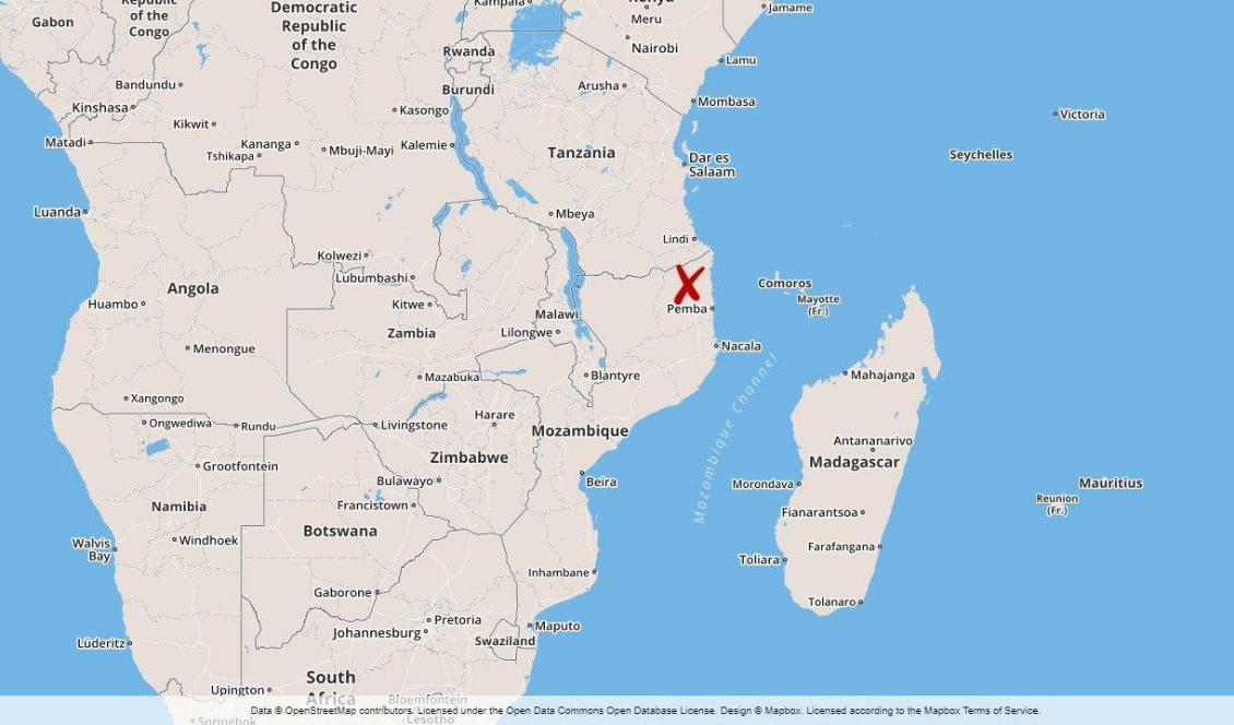Misstänkta islamister har dödat elva bybor, varav flera halshöggs, i nordöstra Moçambique nära gränsen till Tanzania. Foto: TT