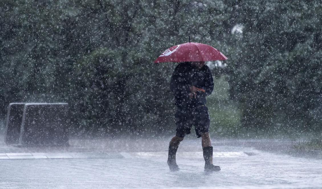 
Kraftiga skyfall, åska och regn väntas i mellersta Sverige under torsdagseftermiddagen. Foto: Johan Nilsson/TT-arkivbild                                                