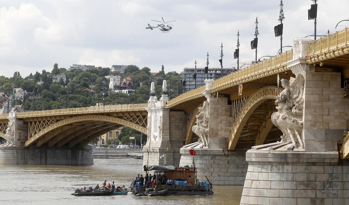 Sökinsatsen pågår ännu efter förra veckans båtolycka i centrala Budapest. Foto: Laszlo Balogh/AP/TT