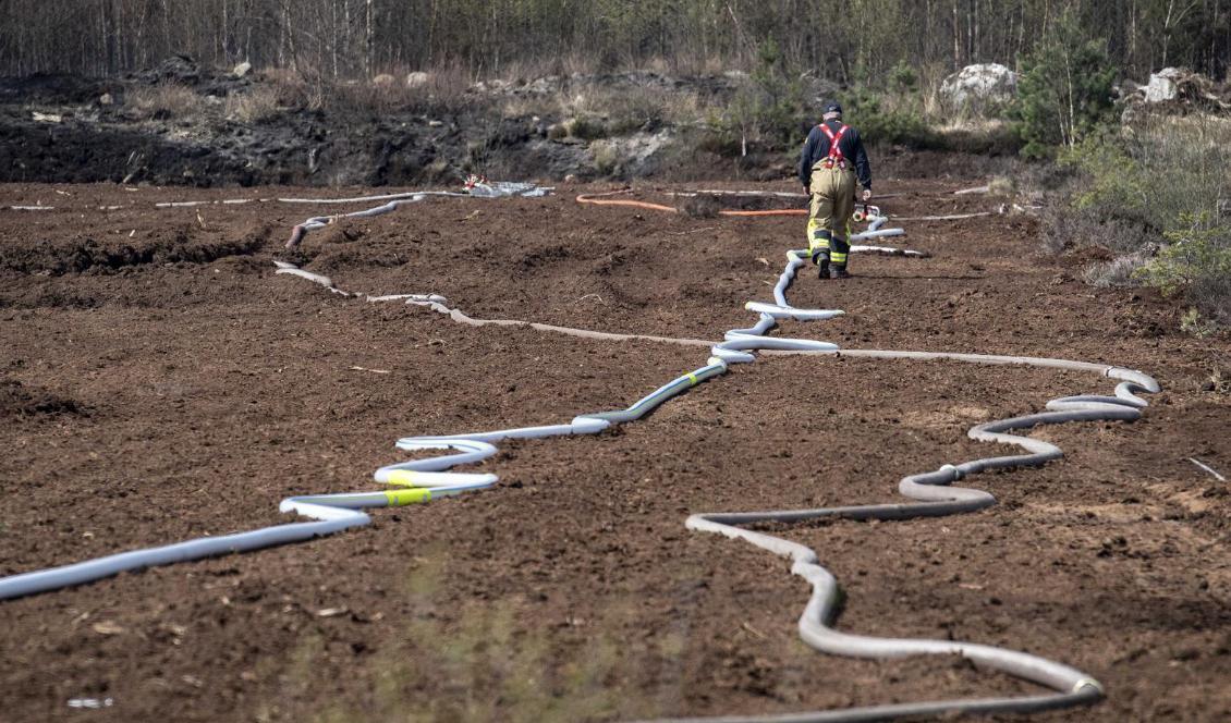 Brandrisk råder över hela landet, varnar SMHI. Bilden från släckning av en brand utanför Hästveda tidigare i år. Foto: Johan Nilsson/TT-arkivbild