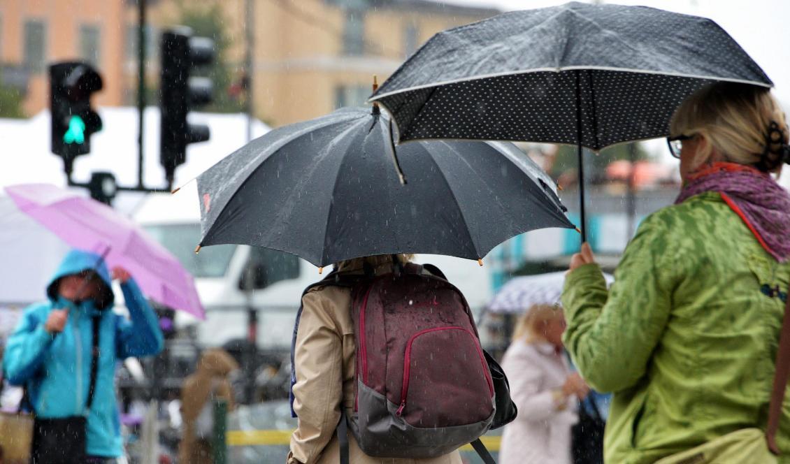 Varning för höstrusk! Väderprognosen för de närmaste dagarna innehåller både regn och vind. Foto: Johan Nilsson/TT-arkivbild