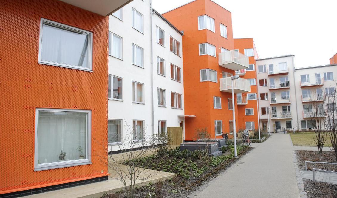 


Bostadsbyggandet går ned. Foto: Henrik Montgomery/TT-arkivbild                                                                                                                                                