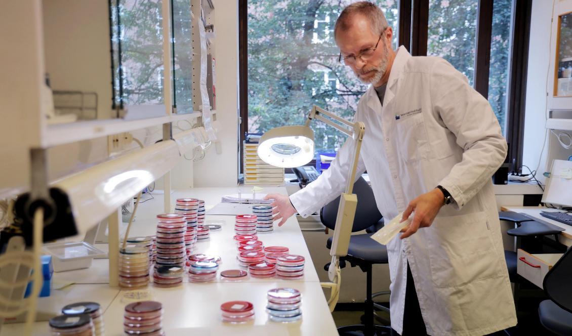 Det pågår ett omfattande arbete med att systematisera data om hundarna som inrapporteras med symtom som blodiga diaréer i förhoppning om att hitta sjukdomsutbrottets orsak. En av forskarna är Bjarne Bergsjö vid det bakteriologiska laboratoriet vid Veterinärinstitutet i Oslo. Foto: Ørn E. Borgen-arkivbild