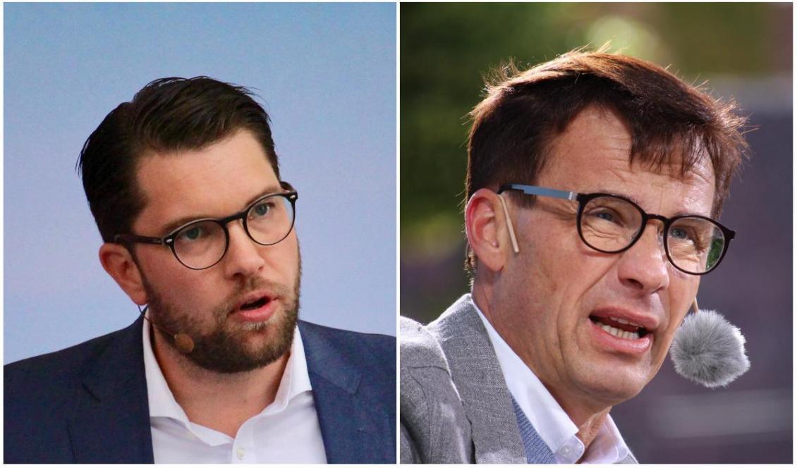 Sverigedemokraterna går framåt i opinionen medan Moderaterna går bakåt. Foto: Epoch Times