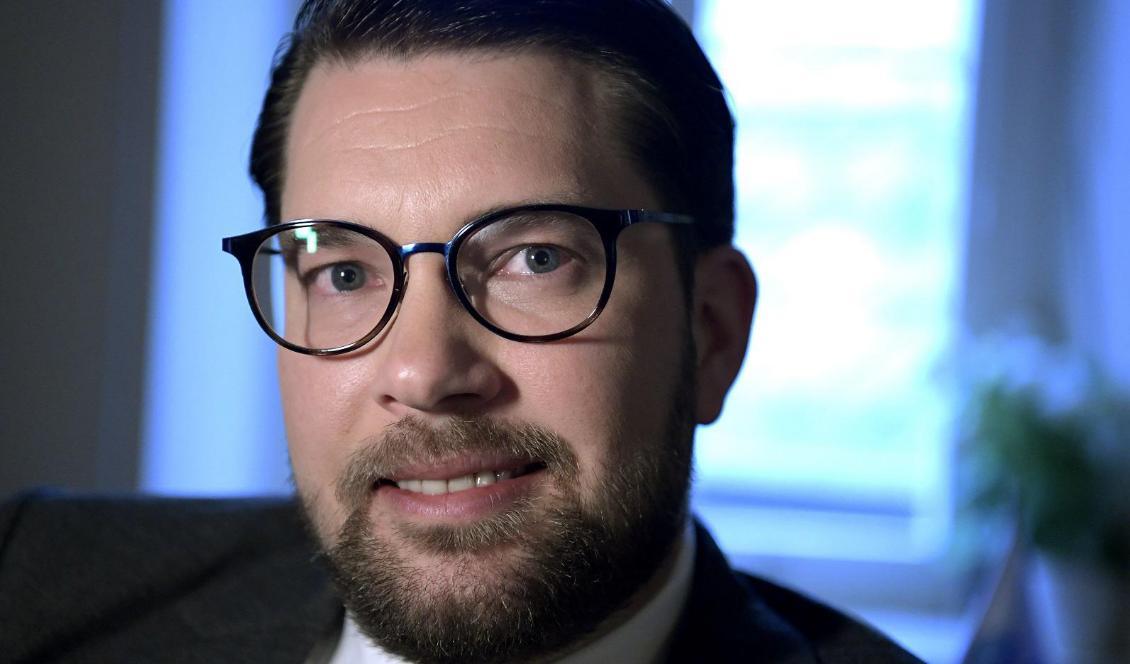 Sverigedemokraternas partiledare Jimmie Åkesson. Foto: Janerik Henriksson/TT