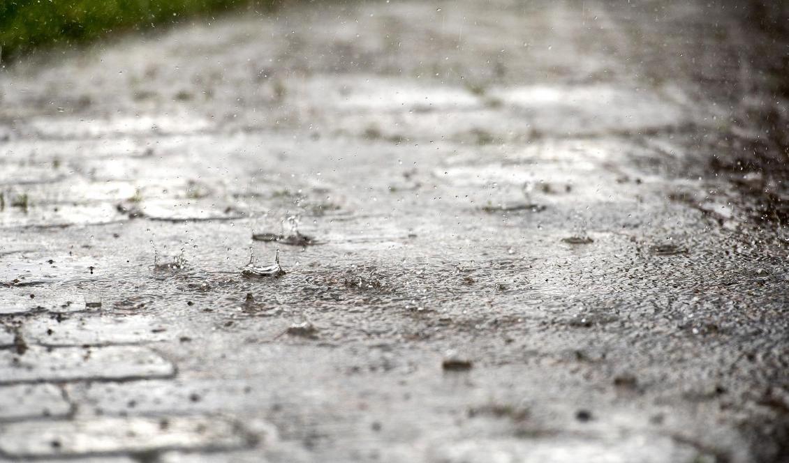 Stora delar av Sverige får räkna med väta i helgen. Foto: Marcus Ericsson/TT-arkivbild