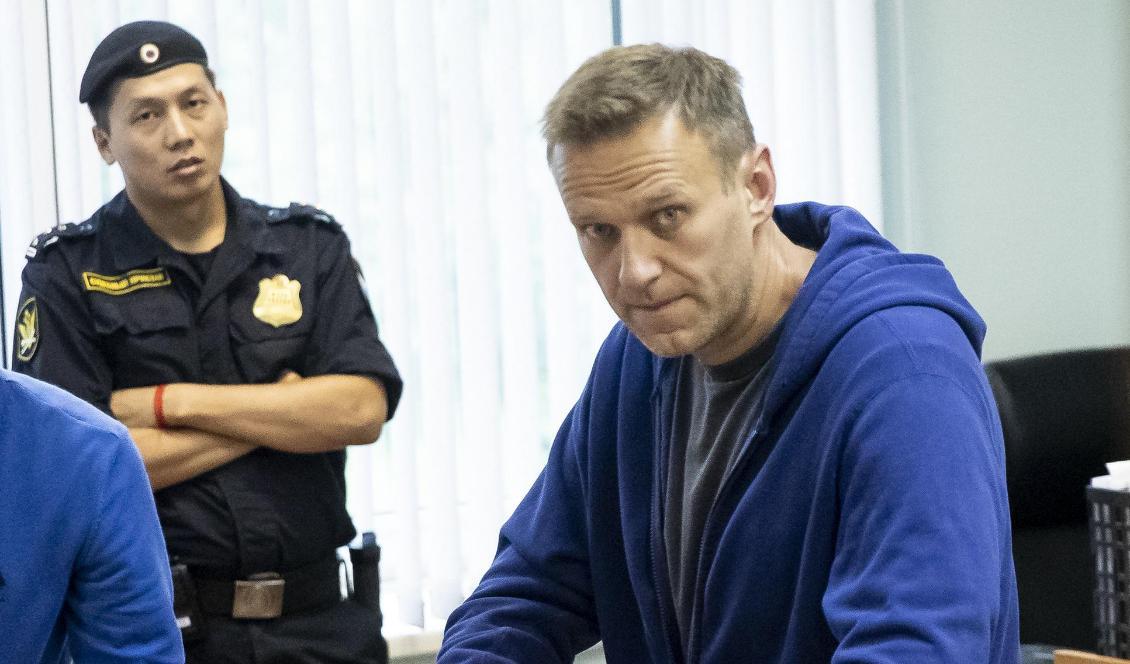 Aleksej Navalnyj i rätten. Foto: Pavel Golovkin/AP/TT-arkivbild