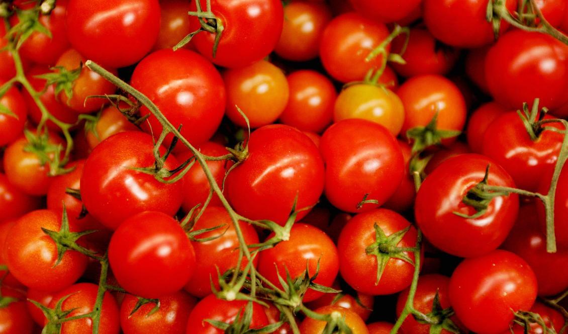 Körsbärstomater kan vara orsaken till salmonellautbrottet, enligt flera läkare, men det har ännu inte gått att fastslå. Foto: Jessica Gow/TT-arkivbild