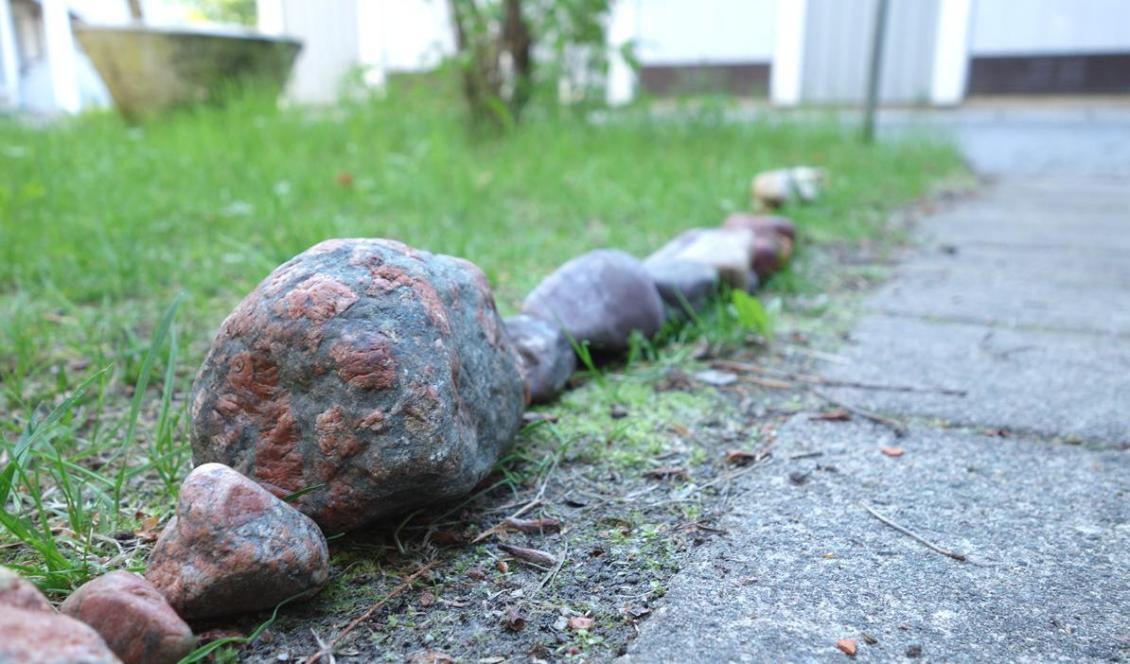 


Stensamlande kan vara mycket lärorikt. Foto: Eva Sagerfors/Epoch Times                                                                                                                                                