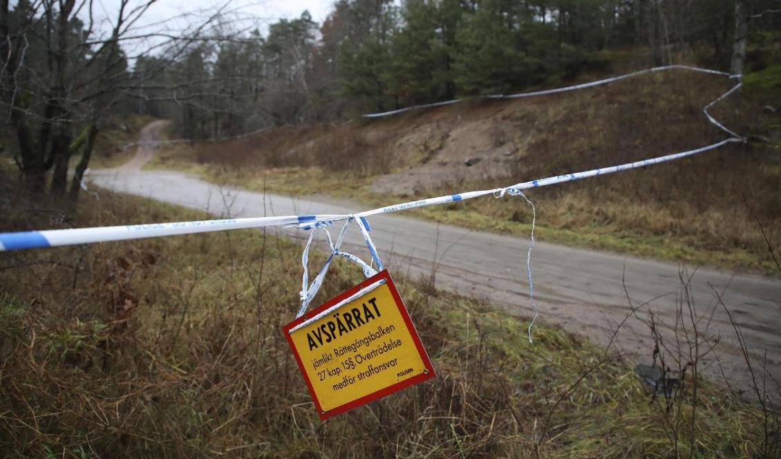 Polisen befarar att den 17-åriga försvunna Uddevallaflickan utsatts för brott. Foto: Adam Ihse/TT