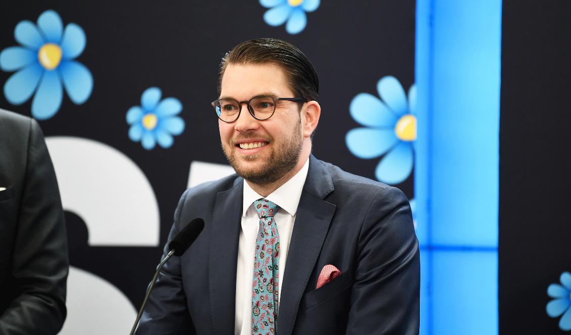 Sverigedemokraternas partiledare Jimmie Åkesson. Foto: Fredrik Sandberg/TT-arkivbild