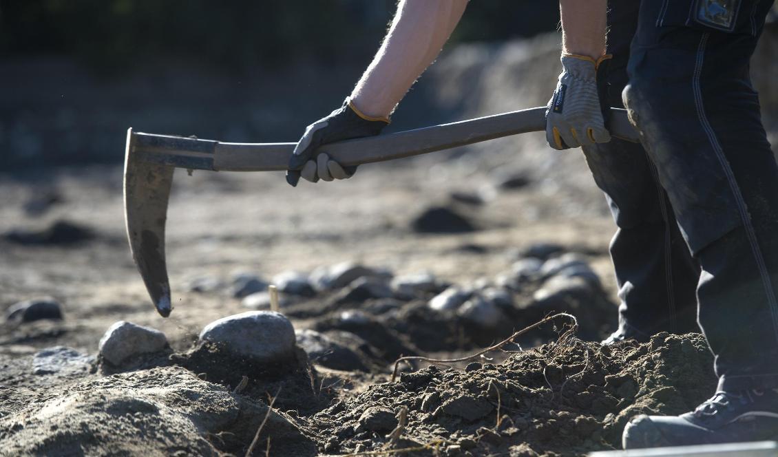 Arkeologerna tror att människor som brändes efter sin död gravsattes i de upphittade urnorna. Foto: Fredrik Sandberg/TT-arkivbild