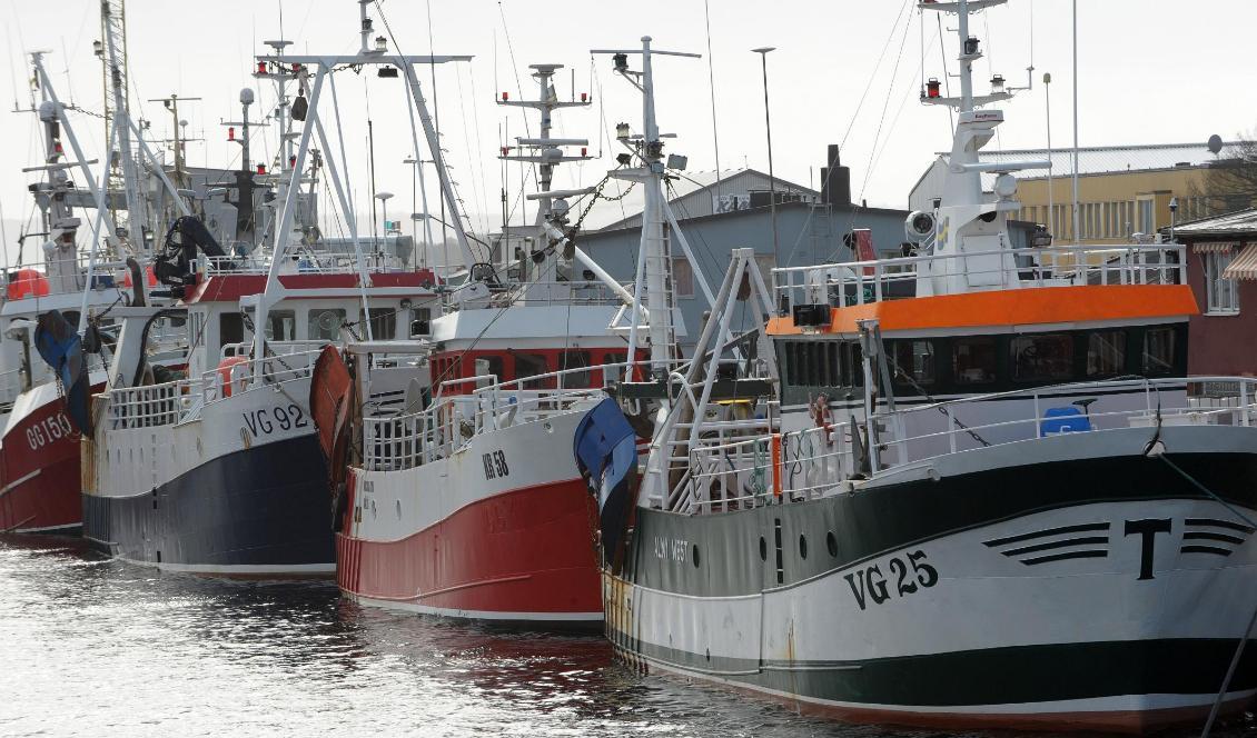 Karlskrona 2008: Fiskebåtar på rad vid Saltö. Hur kommer det se ut framöver? Foto: Leif R Jansson/TT