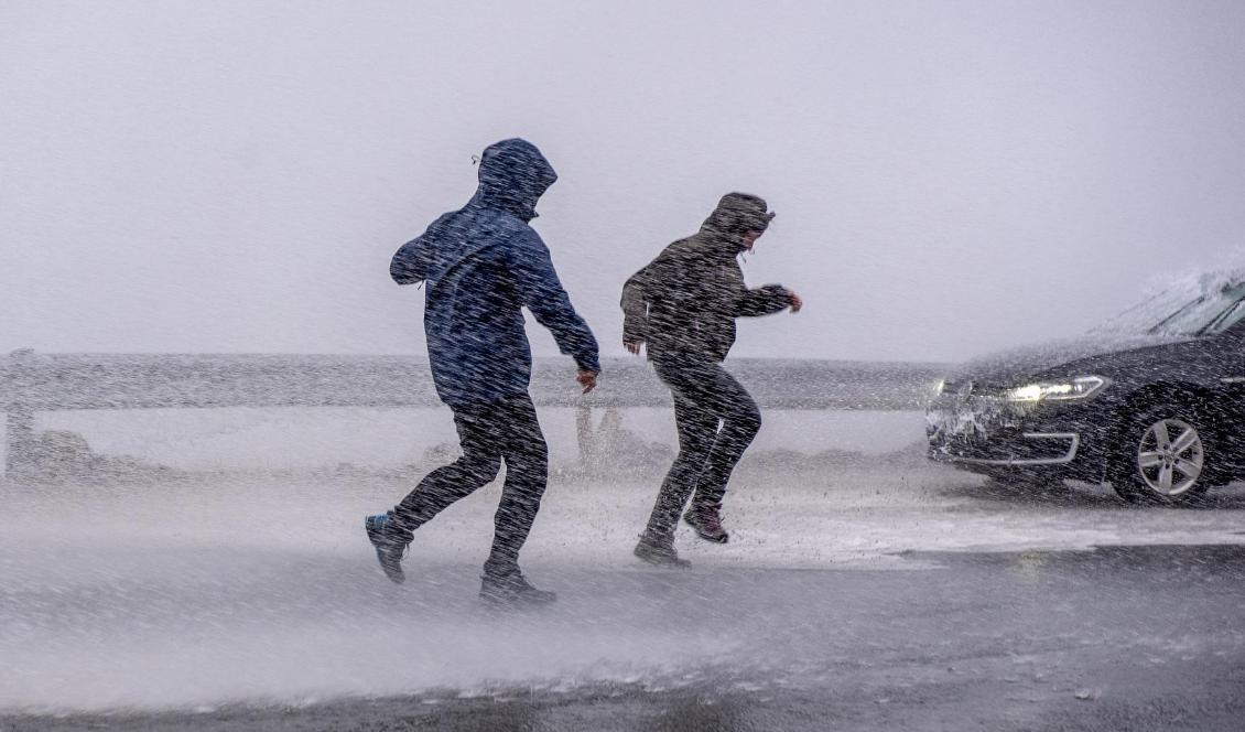 SMHI varnar för storm och ishalka i norr. Foto: Kent Even Grundstad/NTB Scanpix/TT-arkivbild