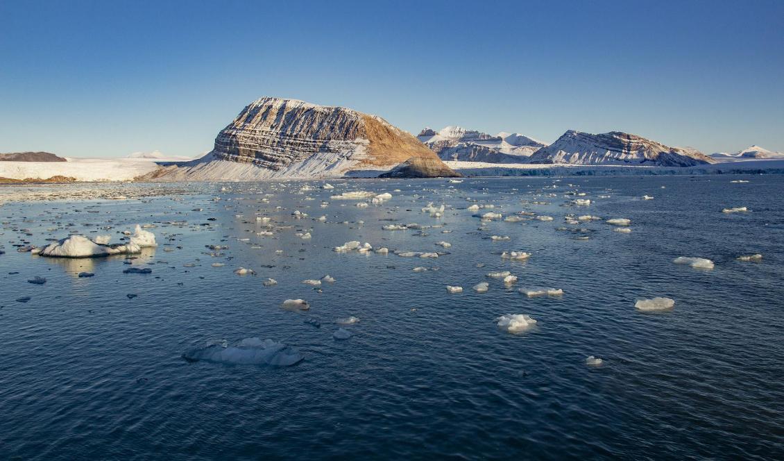 
Mineraler har hittats på havsbottnen utanför Svalbard. Foto: Are Føli-arkivbild                                                