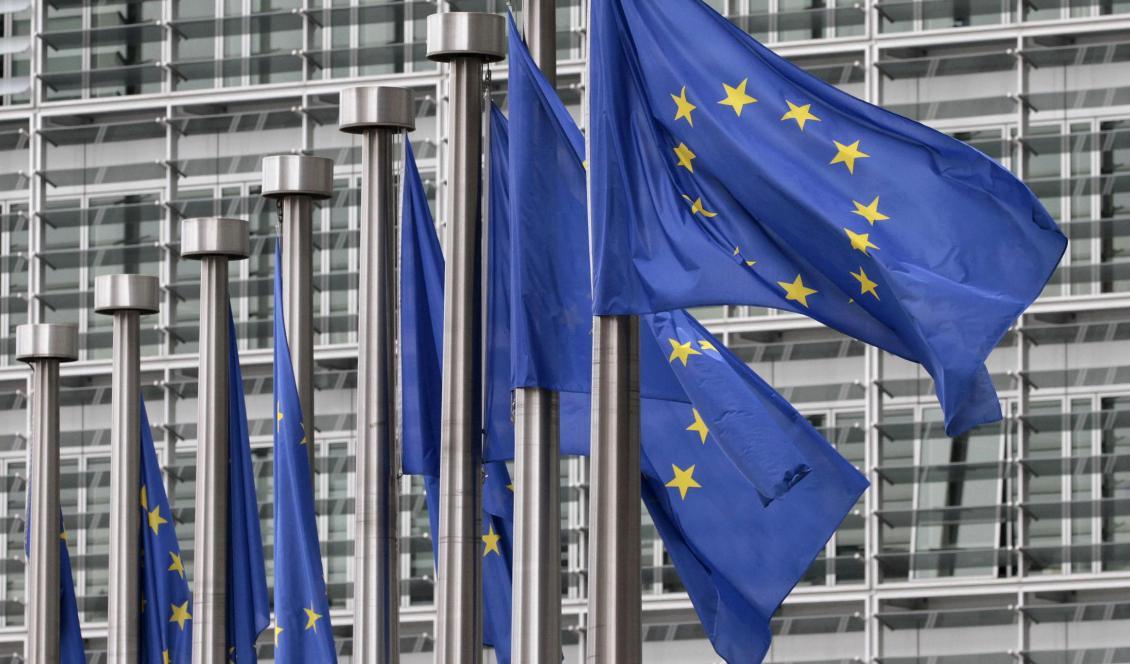 EU-toppmötet om EU:s långtidsbudget för 2021-27 fortsätter under fredagen. Foto: Yves Logghe/AP/TT-arkivbild