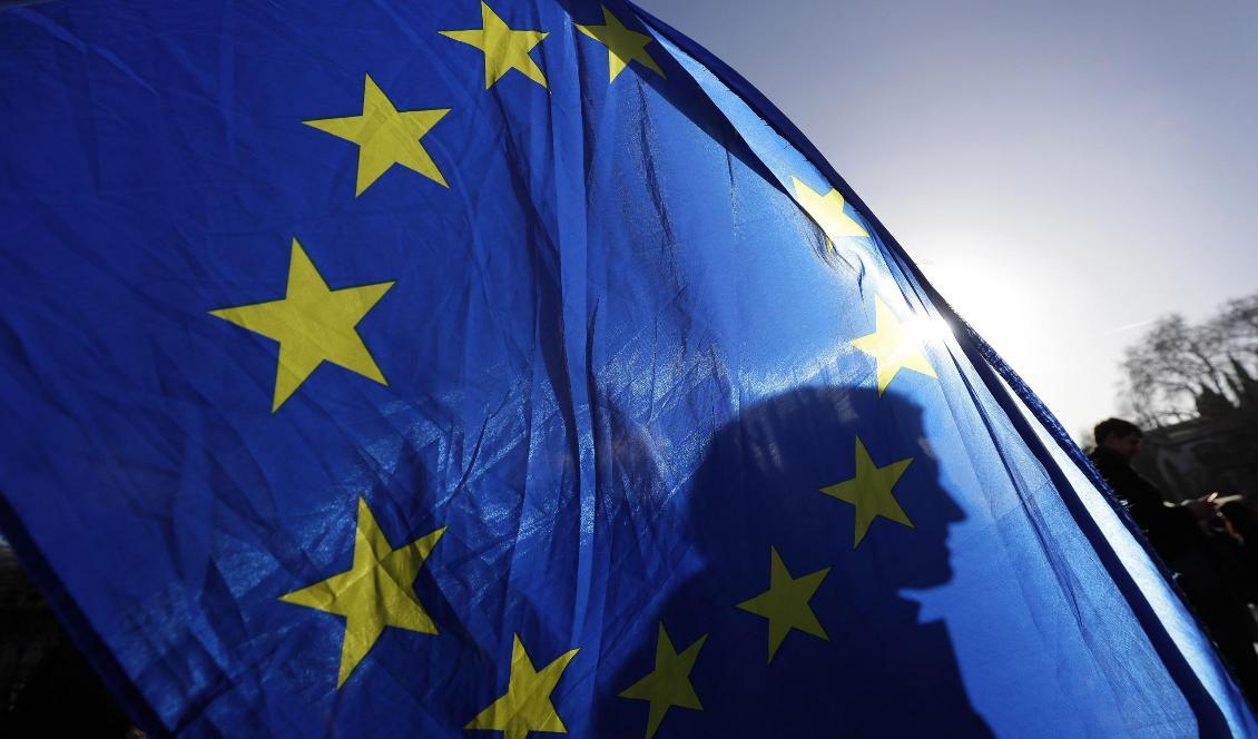 En tuff kamp väntar om nästa långtidsbudget i EU. Foto: Kirsty Wigglesworth/AP/TT-arkivbild