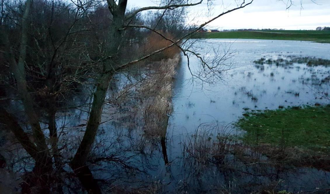 


Översvämning av Smedjeån utanför Hasslöv i sydligaste Halland. Foto: Hans Bengtsson/Epoch Times                                                                                                                                                