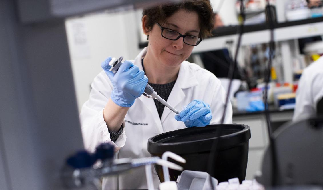 En forskare utvecklar tester för coronaviruset COVID-19 vid labbet Hackensack Meridian Health Center for Discovery and Innovation i Nutley, New Jersey, USA.  Foto: Kena Betancur/Getty Images