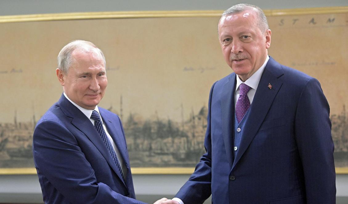 Rysslands president Vladimir Putin (till vänster) skakar hand med sin turkiske kollega Recep Tayyip Erdogan vid ett möte tidigare i år. Foto: Sergej Gunejev/AP/TT-arkivbild
