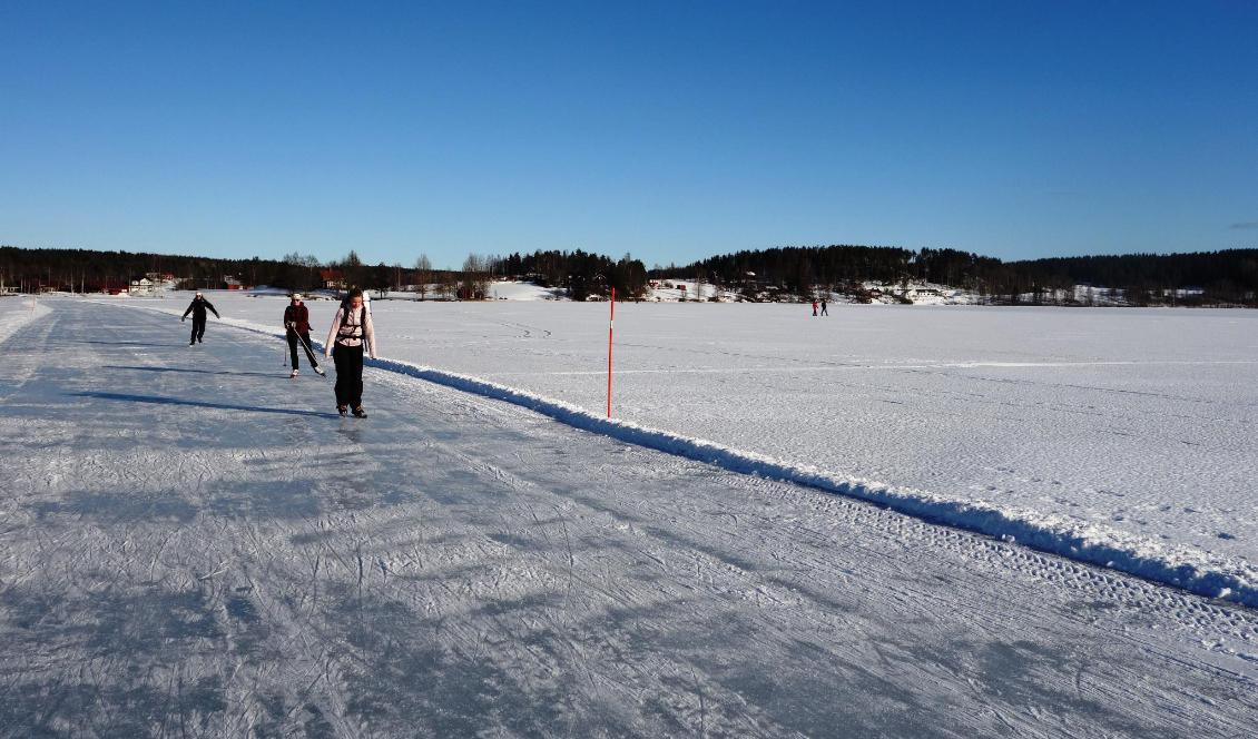 


Foto: Eva Sagerfors/Epoch Times                                                                                                                                                