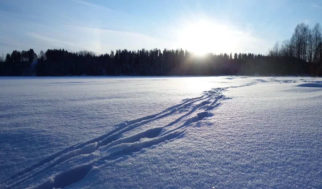 


Spår i snön. Foto: Eva Sagerfors/Epoch Times                                                                                                                                                