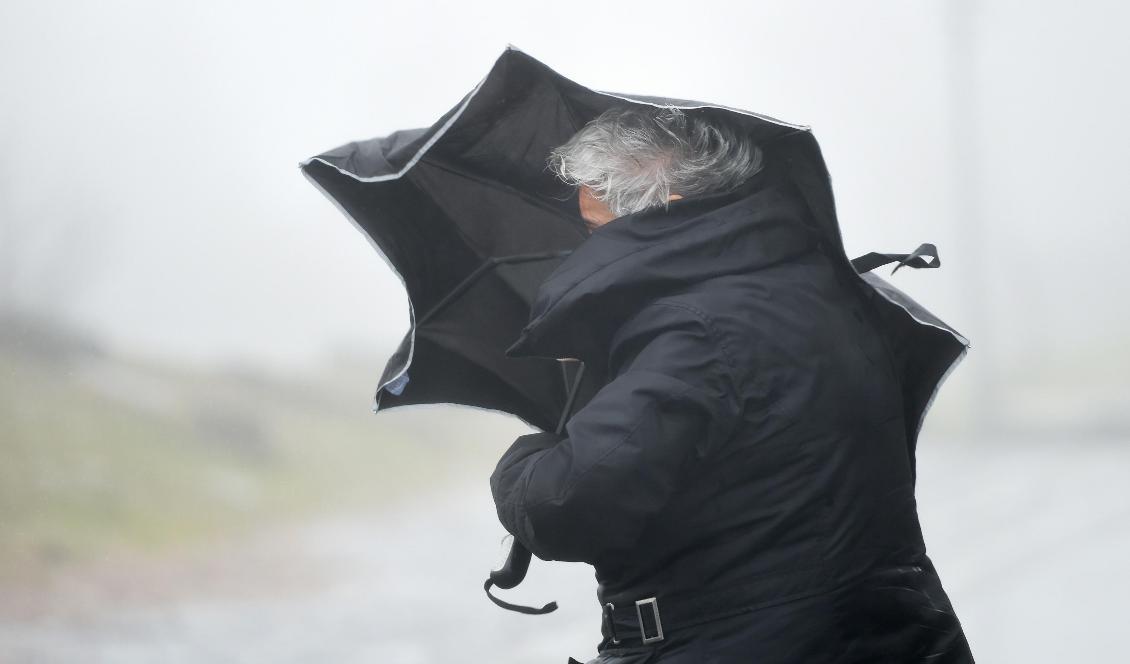 Södra Sverige får räkna med stormbyar under torsdagen. Foto: Arne Dedert/AP/TT-arkivbild