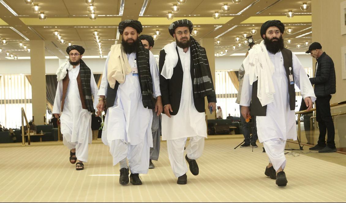 Talibanernas delegation under samtalen i Doha i Qatar. Foto: Hussein Sayed/AP/TT-arkivbild