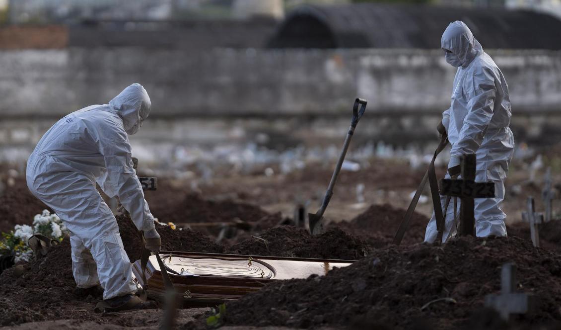 
Kyrkogårdsarbetare begraver en avliden i Rio de Janeiro. Foto: Leo Correa/AP/TT                                                