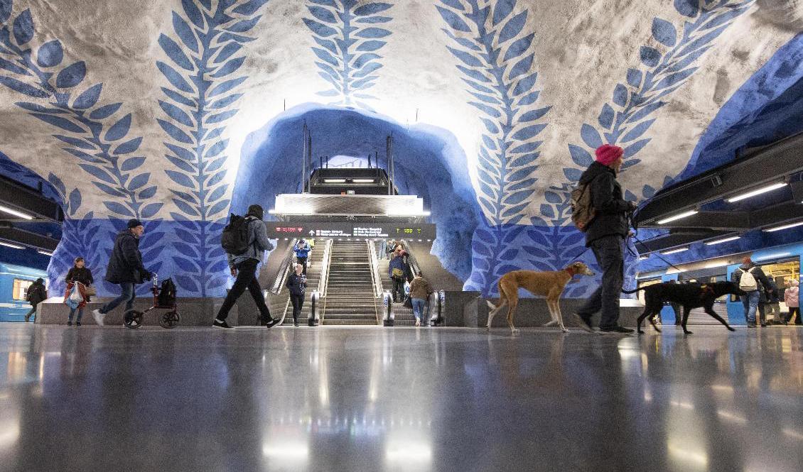 
Siffrorna talar sitt tydliga språk – svenskarnas otålighet kittlas och förflyttningar ökar. Foto: Ali Lorestani/TT                                            