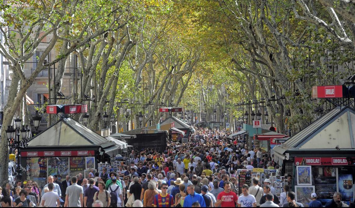 
Misstänkt terrorist planerade dåd i Barcelona. Foto: Manu Fernandez-arkivbild                                                