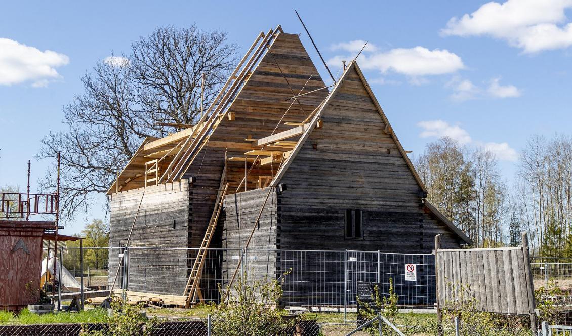 Nybygget är, liksom den nerbrunna kyrkan, cirka 17 meter långt. Timmer har hämtats från 170 år gamla furor på Hökensås. Erfarenheter från fartygsbyggen med gamla metoder har hjälpt till i processen. Foto: Adam Ihse/TT