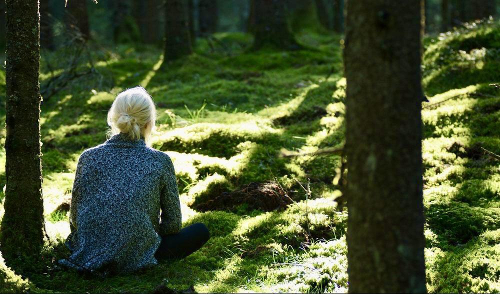 






När vi går tillbaka till samma plats knyter vi an till de växter, djur och element som finns där på ett djupare sätt. Foto: Matthew Wilkins                                                                                                                                                                                                                                                                                                                            