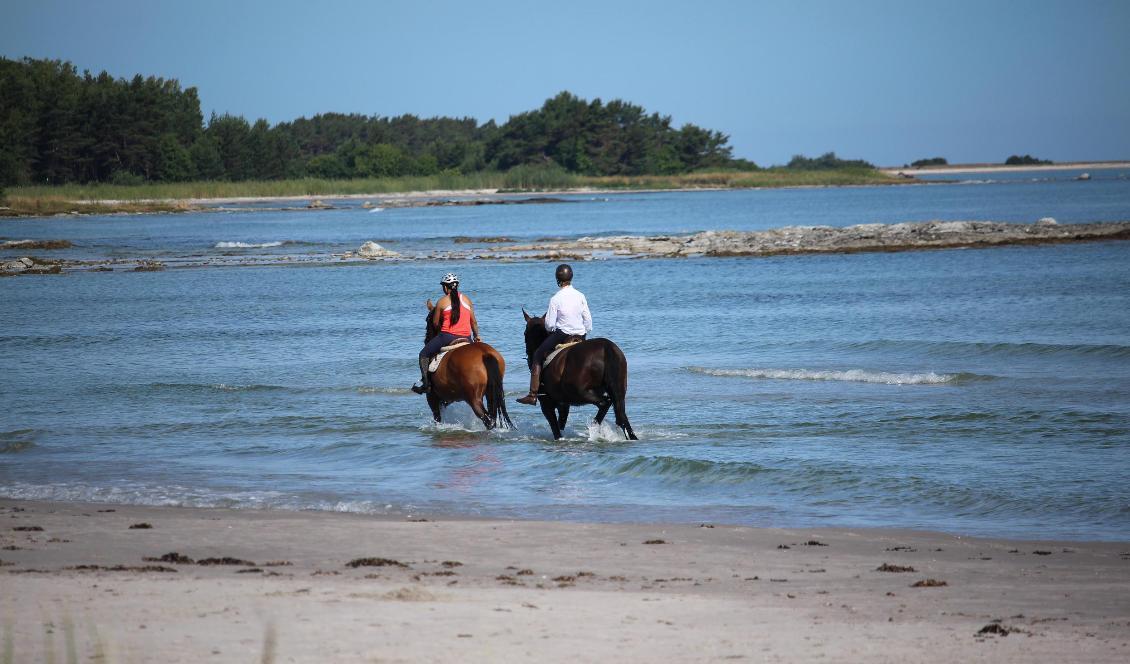 I mitten av veckan kommer det att bli uppemot 15 grader mitt på dagen på flera håll i södra Sverige, enligt SMHI. Foto: Susanne W Lamm/Epoch Times-arkivbild