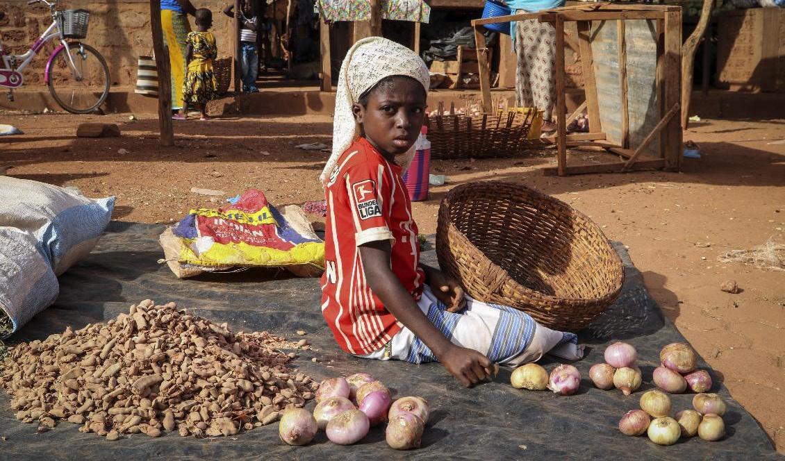 
En förödande kombination av torka och återkommande jihadistiska uppror riskerar att leda till en allvarlig matbrist i delar av Burkina Faso. Foto: Sam Mednick/AP/TT-arkivbild                                            