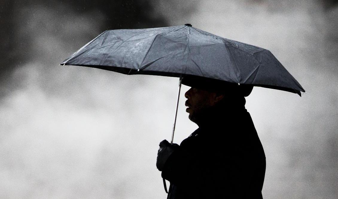 
Regniga dagar väntar i flera delar av landet den kommande veckan. Foto: TT-arkivbild                                            