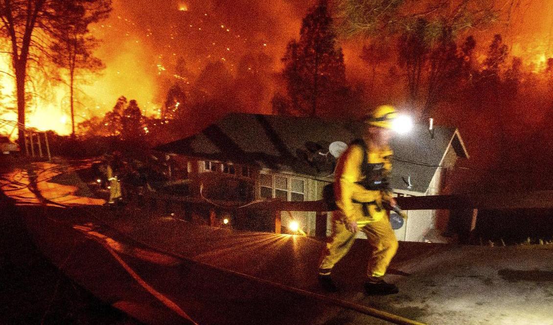
Brandmän kämpar mot elden i Napa, Kalifornien. Foto: Noah Berger/AP/TT                                            