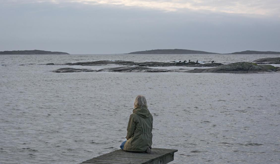 
När vi går igenom olika kriser i livet kan naturen ha en stor läkande kraft. Foto: Matthew Wilkins                                            