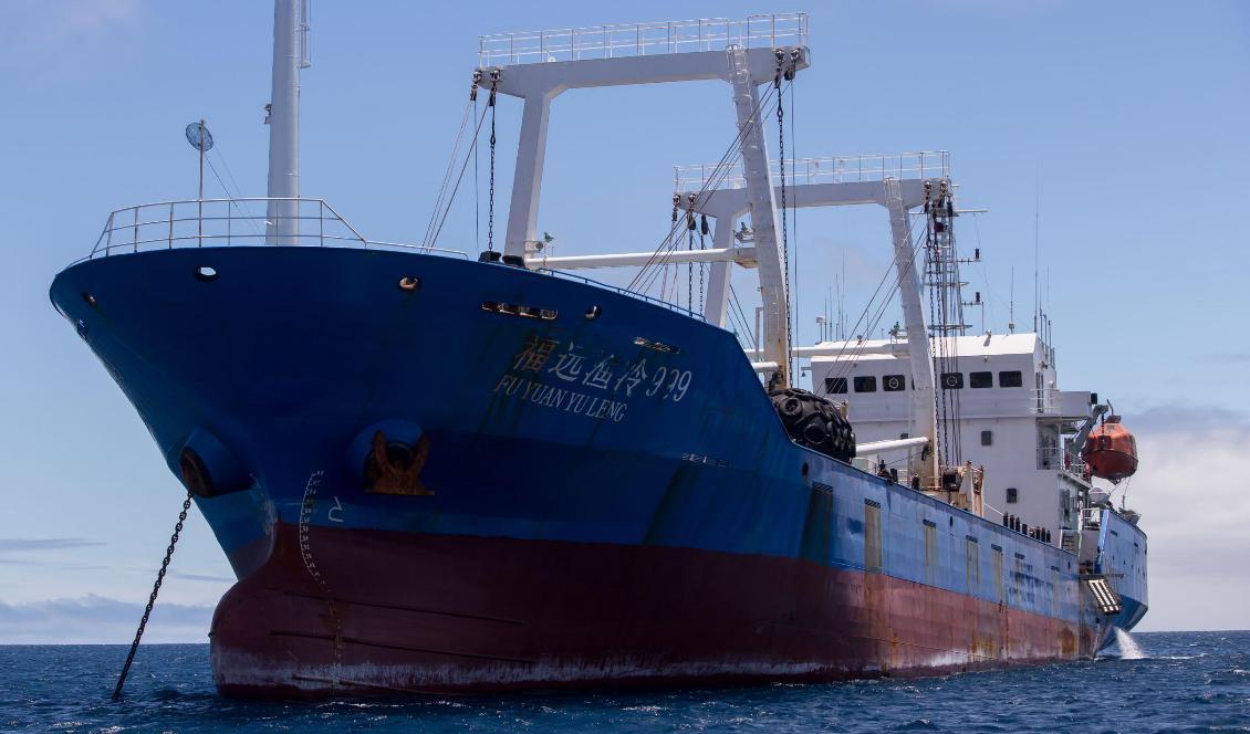 






Ett kinesisk fiskefartyg konfiskerades av Ecuador i Galapagos marina reservat den 25 augusti 2017. Ombord fanns cirka 300 ton fisk, inklusive flera utrotningshotade arter. Foto: Juan Cevallos/AFP via Getty Images                                                                                                                                                                                                                                                                                                                    