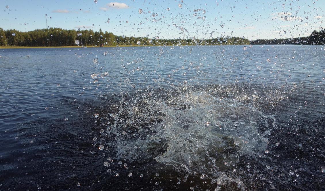 

Foto: Eva Sagerfors/Epoch Times                                                                                        