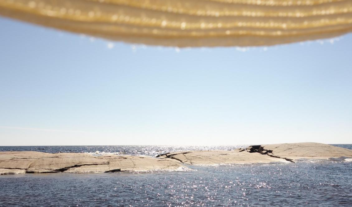 

Foto: Eva Sagerfors/Epoch Times                                                                                        
