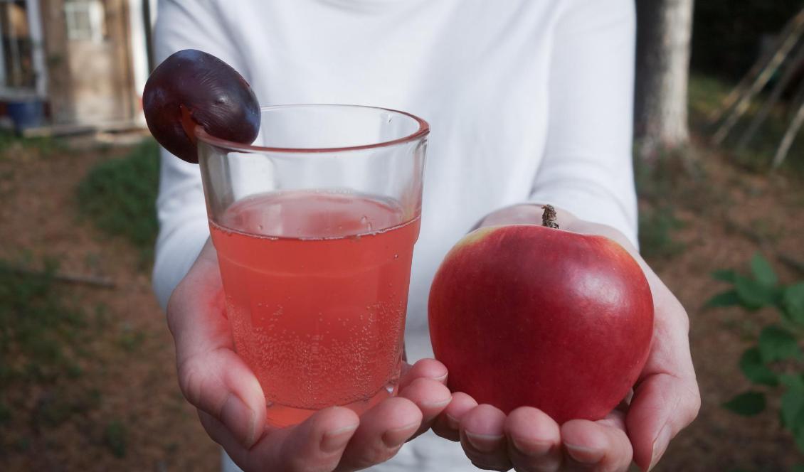 


Plommonkvass med äpple i. Foto: Eva Sagerfors/Epoch Times                                                                                                                                    