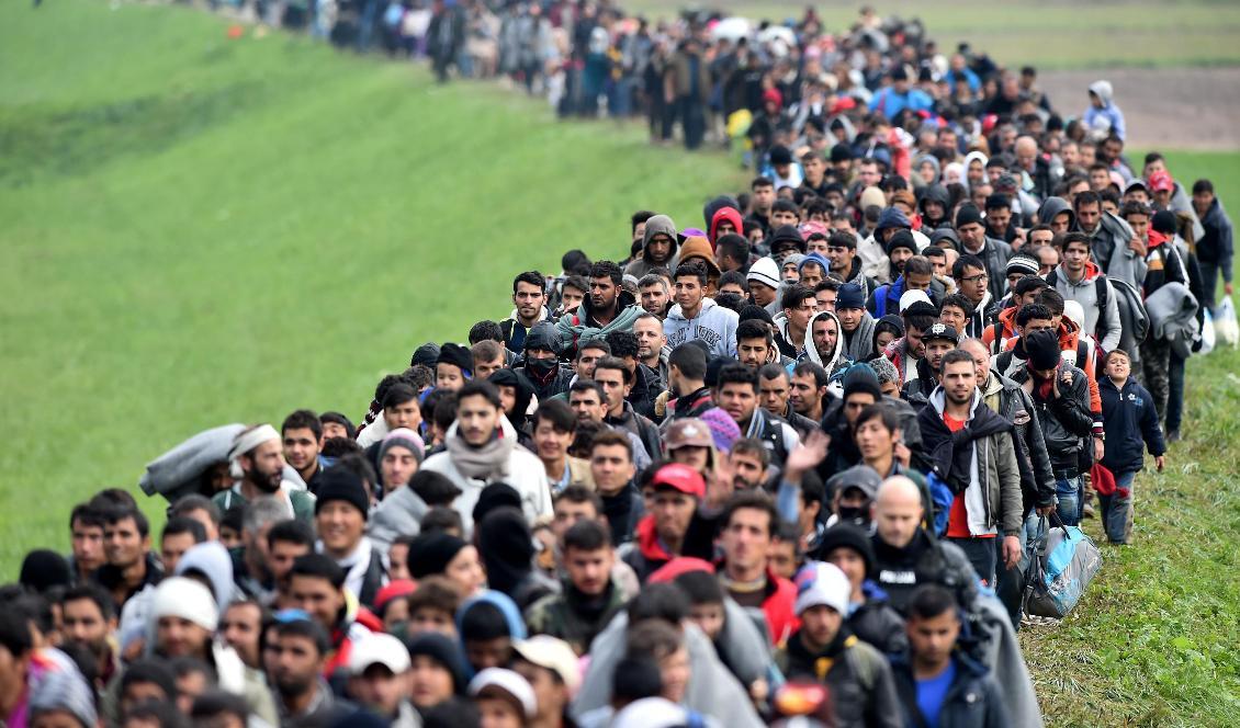 
Migranter marscherar i byn Rigonce till migrantlägret Brezice i Slovenien den 23 oktober 2015. Foto: Jeff J Mitchell/Getty Images                                            