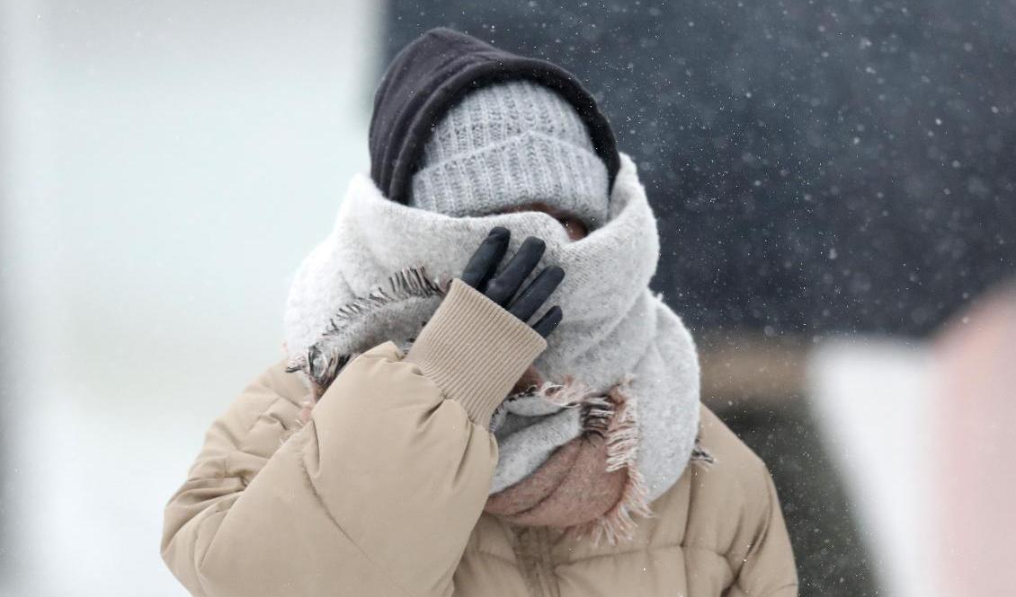 Det blir mycket snö i Norrbottens inland i helgen. Men boende i södra delarna av Sverige får vänta på vintern, enligt SMHI. Arkivbild. Foto: Charles Rex Arbogast/AP/TT